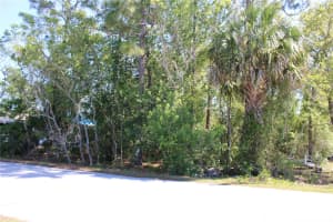 EMERALD TRAIL, OCALA, FL 34472 - MLS#MFRO6317082