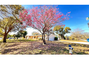 1516 DOVE DRIVE, ORLANDO, FL 32803 - MLS#MFRO6317135