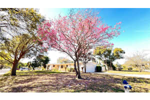 1516 DOVE DRIVE, ORLANDO, FL 32803 - MLS#MFRO6317135