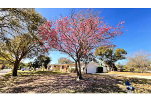 1516 DOVE DRIVE, ORLANDO, FL 32803 - MLS#MFRO6317135