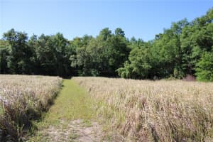 WILLOW RD, OCALA, FL 34472 - MLS#MFRO6317136
