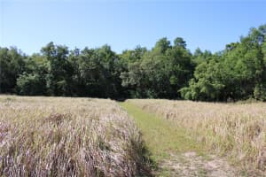 WILLOW RD, OCALA, FL 34472 - MLS#MFRO6317136