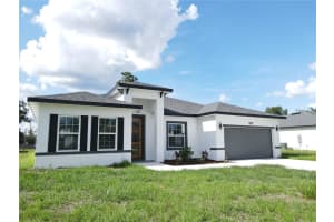3159 Sw 127th Lane Rd, OCALA