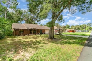 236 LONGHORN DRIVE, APOPKA, FL 32712 - MLS#MFRO6317385