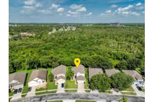 9966 HIDDEN DUNES LANE, ORLANDO, FL 32832 - MLS#MFRO6317411