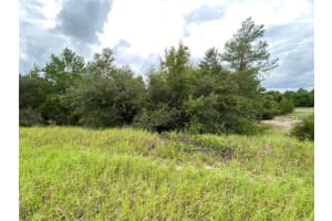 1362 HOMOSASSA DRIVE, KISSIMMEE, FL 34759 - MLS#MFRO6317463