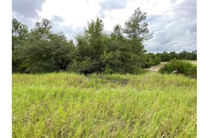 1362 HOMOSASSA DRIVE, KISSIMMEE, FL 34759 - MLS#MFRO6317463