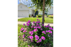 7 POLERMO AVENUE, ST CLOUD, FL 34771 - MLS#MFRO6317855