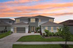 9201 Sanders Tree Loop, WESLEY CHAPEL
