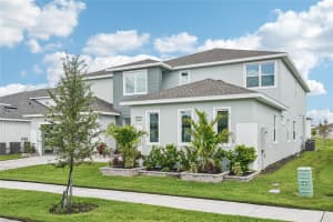 9201 SANDERS TREE LOOP, WESLEY CHAPEL, FL 33545 - MLS#MFRO6317926