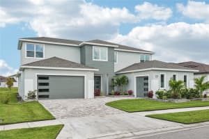 9201 SANDERS TREE LOOP, WESLEY CHAPEL, FL 33545 - MLS#MFRO6317926