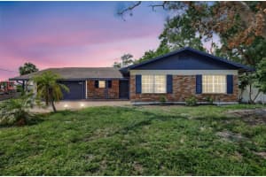 8701 Thornwood Ln, TAMPA
