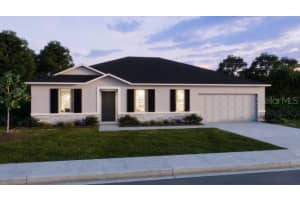61 BRUCE LANE, PALM COAST, FL 32137 - MLS#MFRO6317980