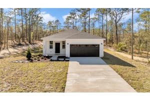 1720 BIG TREE ROAD, DUNNELLON, FL 34431 - MLS#MFRO6317996