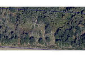 16213 CLARENCE LEE ROAD, GROVELAND, FL 34736 Sold 07/18/25