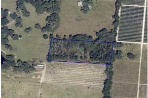 16213 CLARENCE LEE ROAD, GROVELAND, FL 34736 Sold 07/18/25