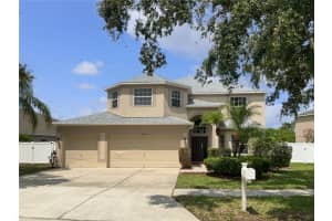 11356 Callaway Pond Dr, RIVERVIEW