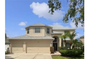 11356 CALLAWAY POND DRIVE, RIVERVIEW, FL 33579 - MLS#MFRO6318415