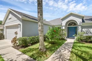 189 BLACKSTONE CREEK ROAD, GROVELAND, FL 34736 Sold 09/11/25