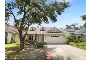 16006 Stags Leap Dr, LUTZ