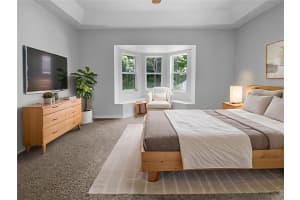 16006 STAGS LEAP DRIVE, LUTZ, FL 33559 - MLS#MFRO6318965