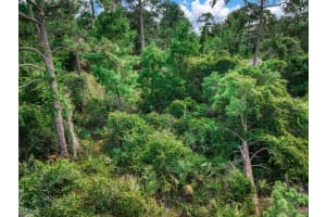 3913 DAUPHINE STREET, SEBRING, FL 33872 - MLS#MFRO6319021