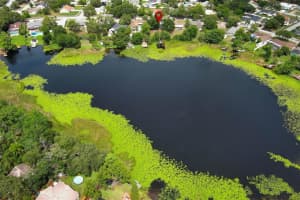 9551 Lake Douglas Pl, ORLANDO