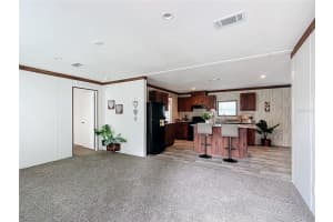 13381 90TH CIRCLE, LIVE OAK, FL 32060 - MLS#MFRO6319120