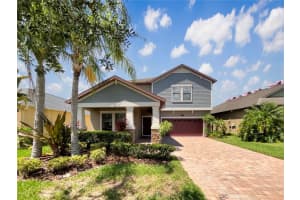 19491 Paddock View Dr, TAMPA