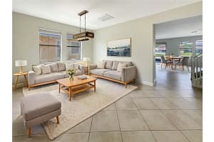 19491 PADDOCK VIEW DRIVE, TAMPA, FL 33647 - MLS#MFRO6319266