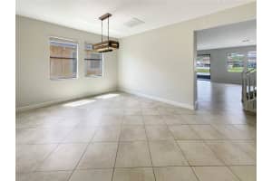 19491 PADDOCK VIEW DRIVE, TAMPA, FL 33647 - MLS#MFRO6319266
