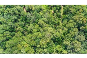 AMELIA TRL, KISSIMMEE, FL 34747 Sold 01/22/26