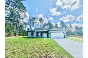 8051 PINKINZ WAY, CITRUS SPRINGS, FL 34433 - MLS#MFRO6319785