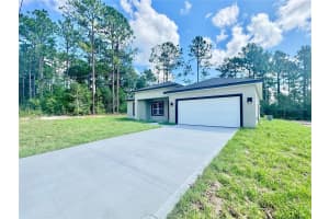 8051 PINKINZ WAY, CITRUS SPRINGS, FL 34433 - MLS#MFRO6319785