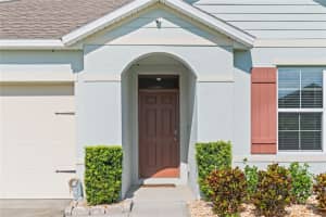 3817 HEARTLEAF LANE, MOUNT DORA, FL 32757 - MLS#MFRO6319817