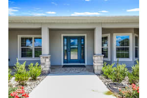 14243 COUNTY ROAD 450, UMATILLA, FL 32784 - MLS#MFRO6319851
