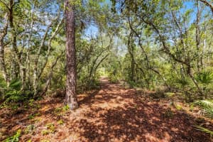 43041 JEWELL DRIVE, DELAND, FL 32720 Sold 09/15/25