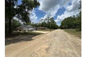 247 MCFADDIN PLACE, DUNNELLON, FL 34434 - MLS#MFRO6320059