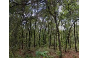 0 POSEN STREET, NEW PORT RICHEY, FL 34654 - MLS#MFRO6320195