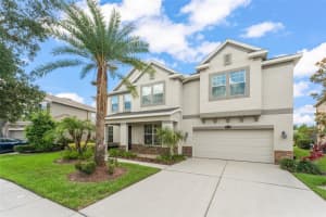 10720 Breaking Rocks Dr, TAMPA