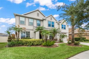 10720 BREAKING ROCKS DRIVE, TAMPA, FL 33647 - MLS#MFRO6320205