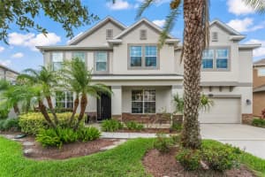 10720 BREAKING ROCKS DRIVE, TAMPA, FL 33647 - MLS#MFRO6320205