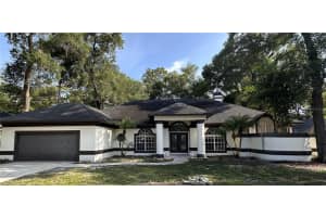 2313 Park Village Pl, APOPKA