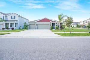 11818 Tetrafin Dr, RIVERVIEW