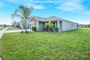 11818 TETRAFIN DRIVE, RIVERVIEW, FL 33579 - MLS#MFRO6320324