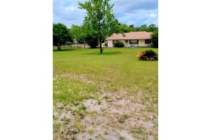 16677 Sw 47th Place Rd, OCALA