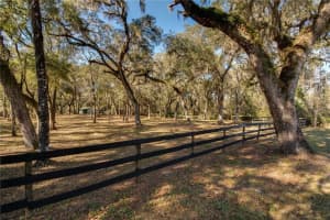 63 LAKE WOOD CIRCLE, OCALA, FL 34482 - MLS#MFRO6320488