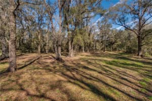 63 LAKE WOOD CIRCLE, OCALA, FL 34482 - MLS#MFRO6320488