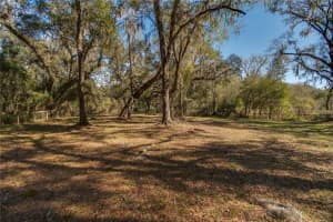63 LAKE WOOD CIRCLE, OCALA, FL 34482 - MLS#MFRO6320488