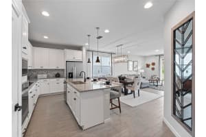 4409 LIONS GATE AVENUE, CLERMONT, FL 34711 - MLS#MFRO6321032